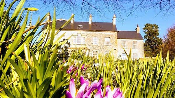 Spring flowers at Dunmore Gardens Carrigans County Donegal
