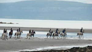 Moycullen Riding Centre