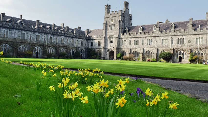 UCC college with lawns and daffodils in the foreground