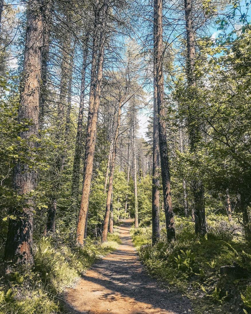 Ards Forest Park