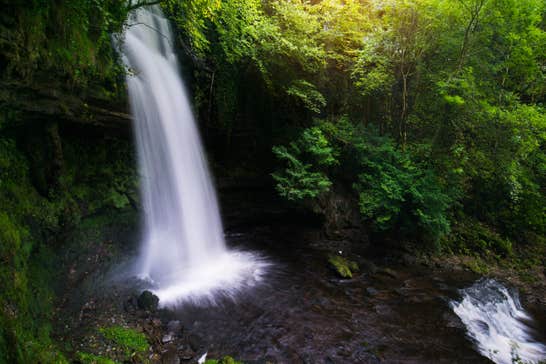 A waterfall cascading past rich greenery