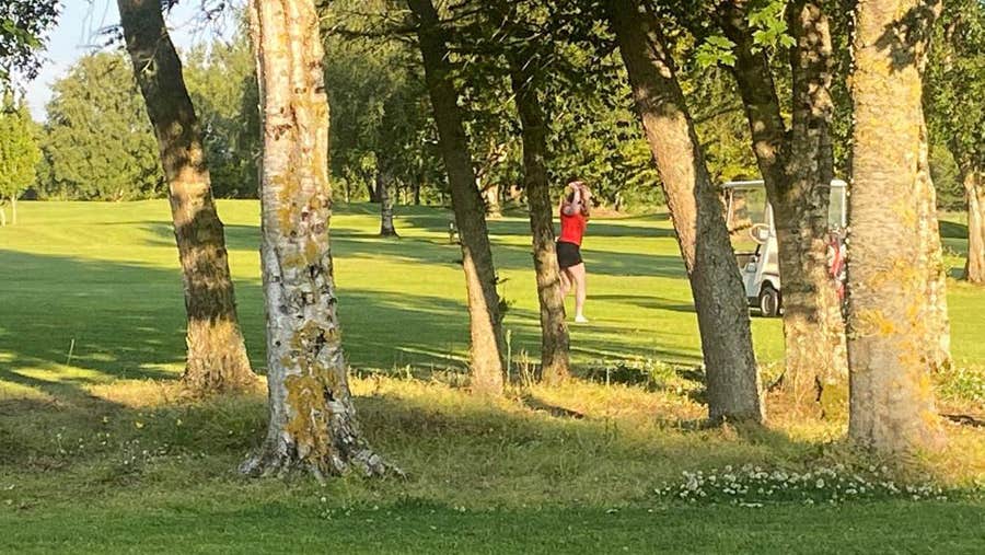 A lady golfer with golf buggy stopped nearby playing on the South Meath Golf Course
