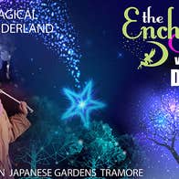 Enchanted Garden Winter Lights Tramore