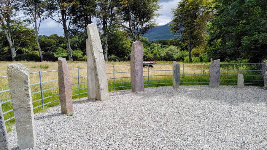 A view of the Ogham stones standing in a semi circle surrounded by railings