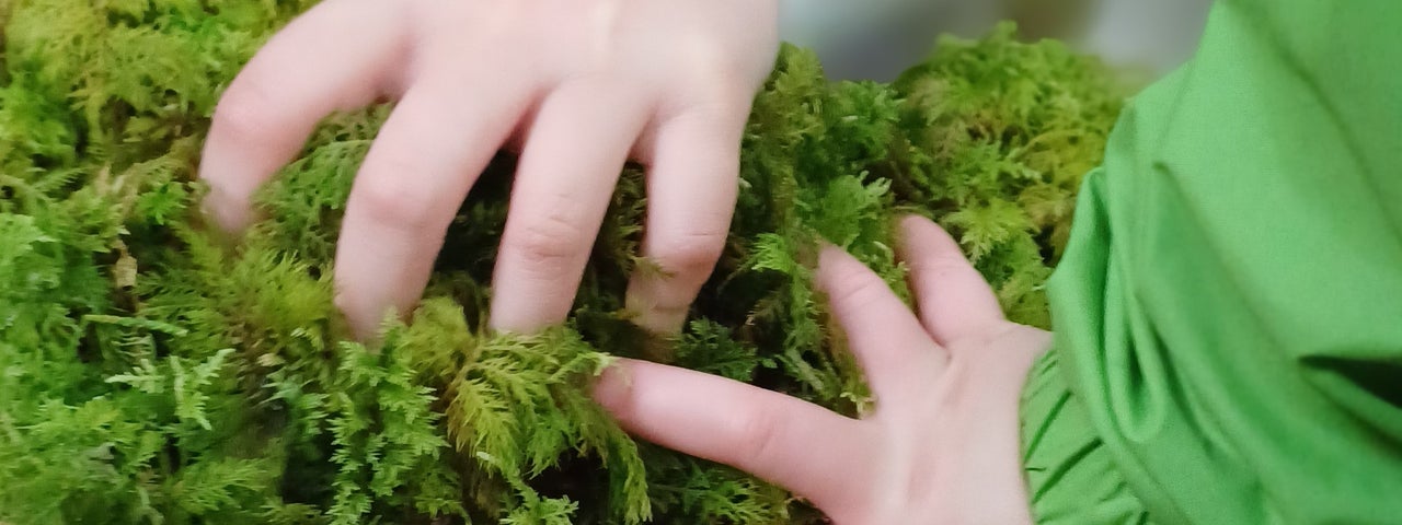 This immerse experience is a gentle way to slow down, explore the beauty of the season, and connect with one another.