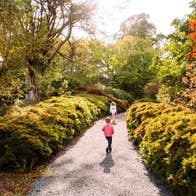 Image of Slishwood - Forest Walk