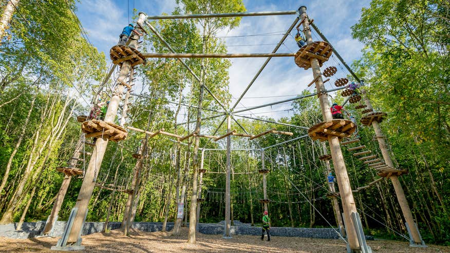 People at the Castlecomer Discovery Park in Kilkenny