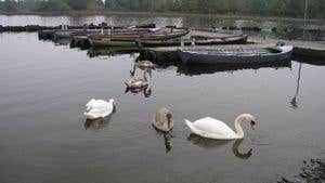 Lakeland & Midsummer Lakehouse