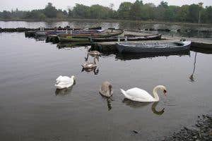 Lakeland & Midsummer Lakehouse, Oughterard, Galway
