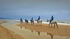 Maltfield Stud Riding School at the beach