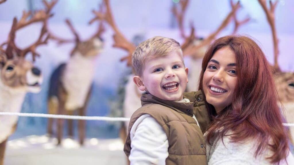 Christmas Journey to the Wild Arctic