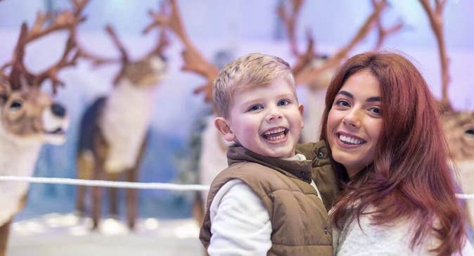 Christmas Journey to the Wild Arctic