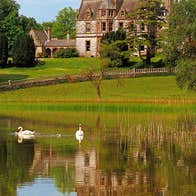 Swans on the lake at Castle Leslie Estate Glaslough County Monaghan