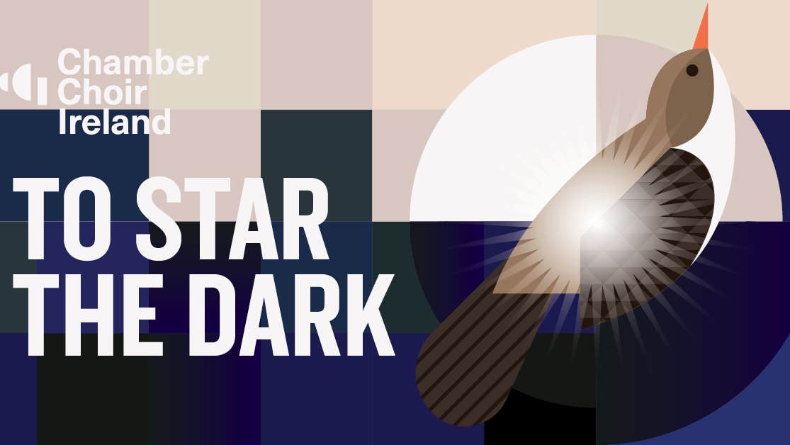 To Star The Dark, Chamber Choir Ireland