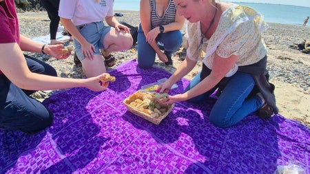Picnic with Howth Foraging Irelands Eye