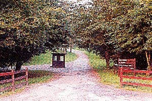 Farran Forest Park, Macroom, Cork