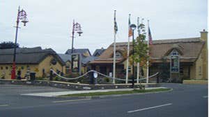 The Thatched Cottage