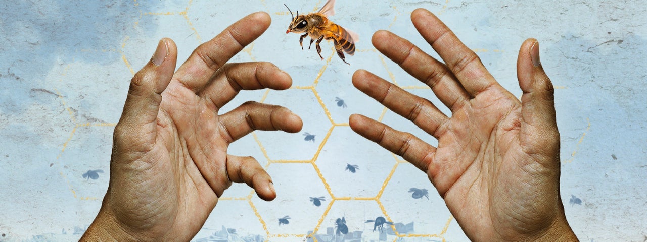 The Beekeeper of Aleppo /