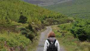 At the start of Knockballiniry looped walk