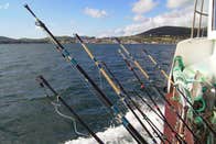 Dingle Boat Tours - Sea Fishing