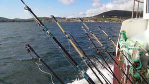 Dingle Boat Tours - Sea Fishing