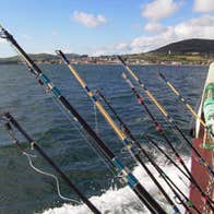 Dingle Boat Tours - Sea Fishing