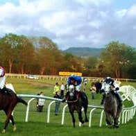 Kilbeggan Racecourse