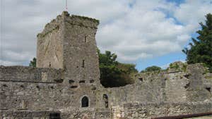 Castlelyons Dominican Friary