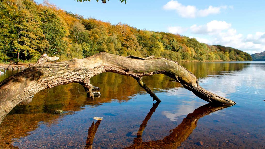 Hazelwood National Forest, Co Sligo