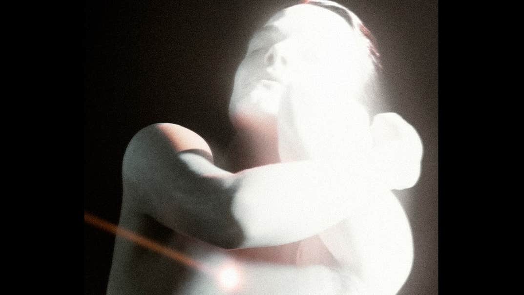 The Horrors approach their 20th anniversary