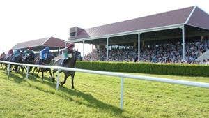 Wexford Racecourse