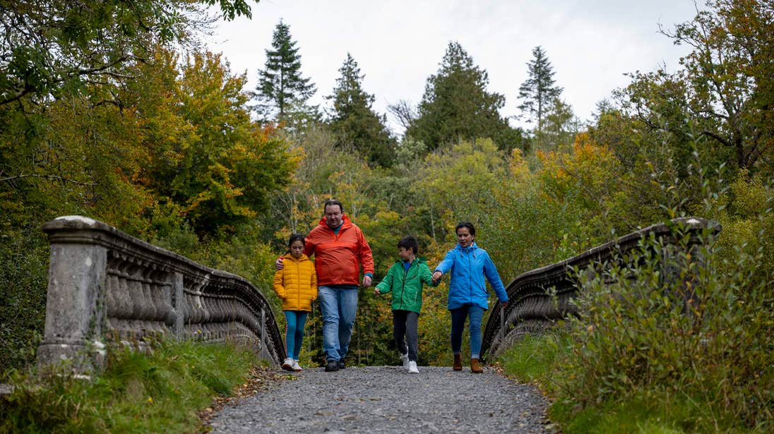 Explore the grounds of Lough Key Forest Park.