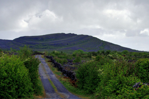 Patrick Moran Tours