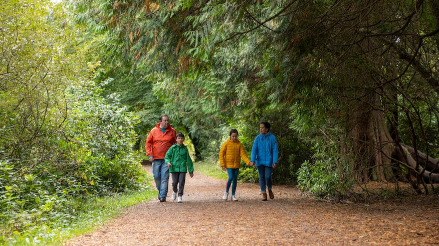 A family walking the trails in Lough Key Forest and Activity Park in Roscommon.