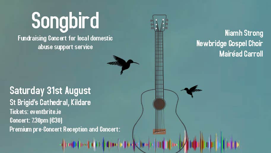 Fundraising concert in aid of Kildare refuge