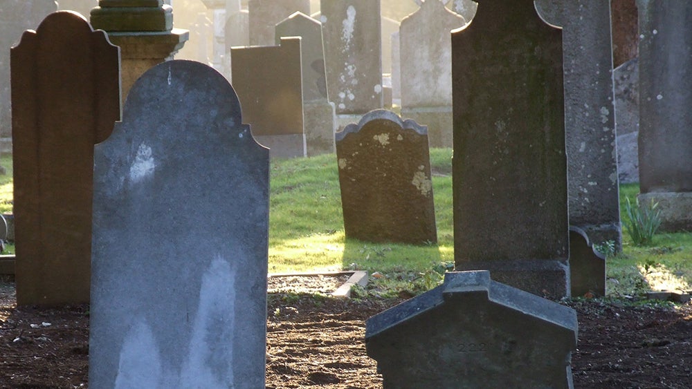 Glasnevin Cemetery in the evening, with headstones, trees and sunshine