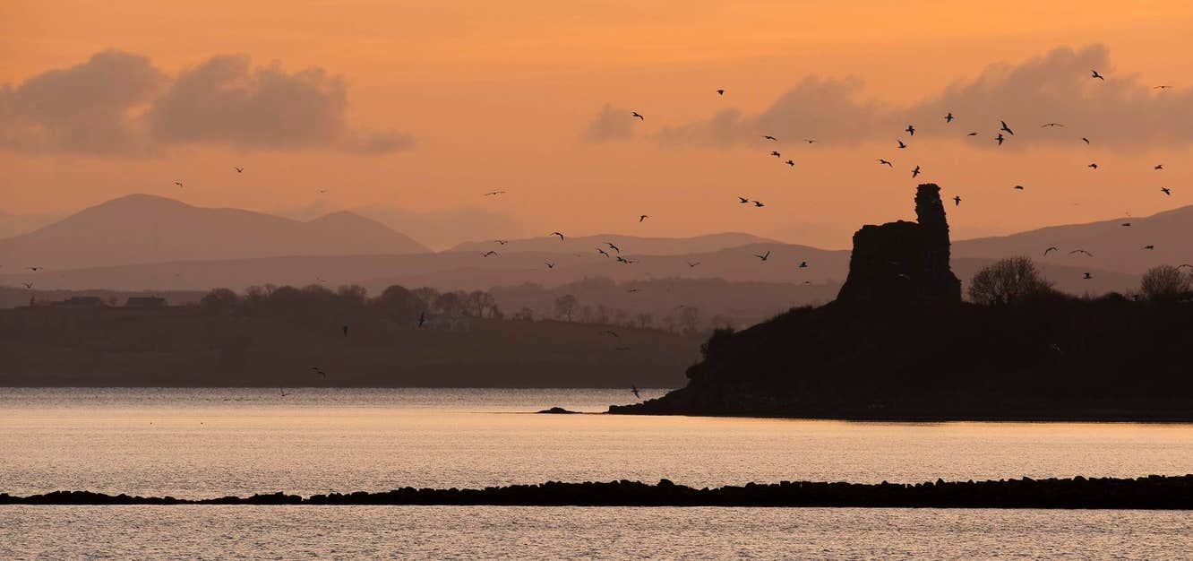 View of Inch Castle at sunset with birds flying around, Inch Island, County Donegal