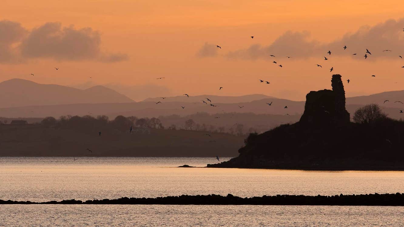 View of Inch Castle at sunset with birds flying around, Inch Island, County Donegal