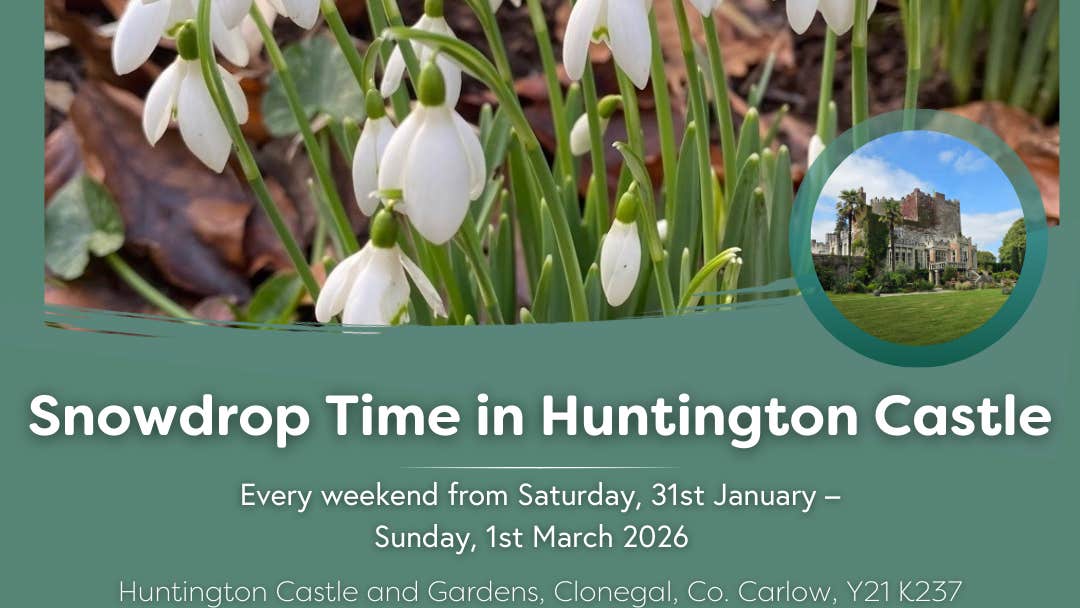 Poster for Carlow Snowdrop Time - Huntington Castle with picture of small plants with white blooms
