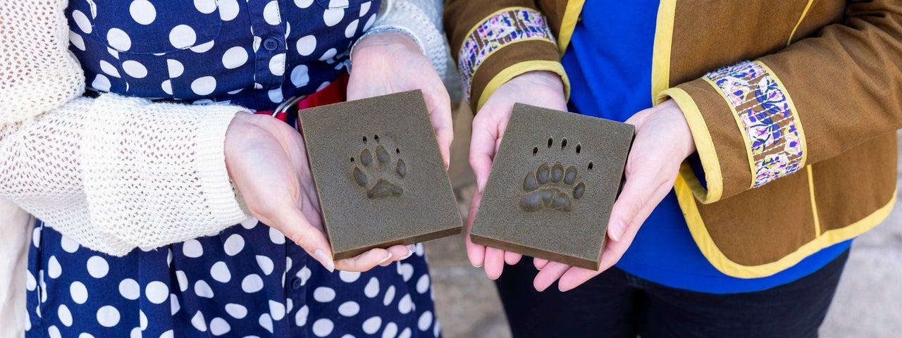 Footprints from the handling collection