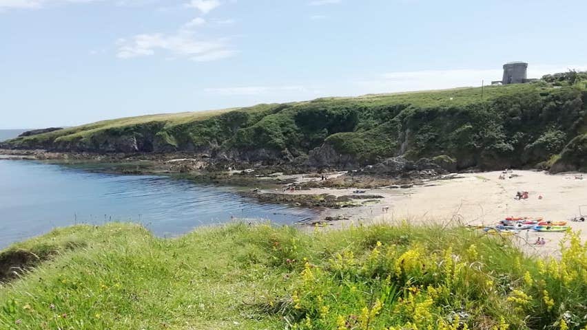Carnivan Beach in Wexford