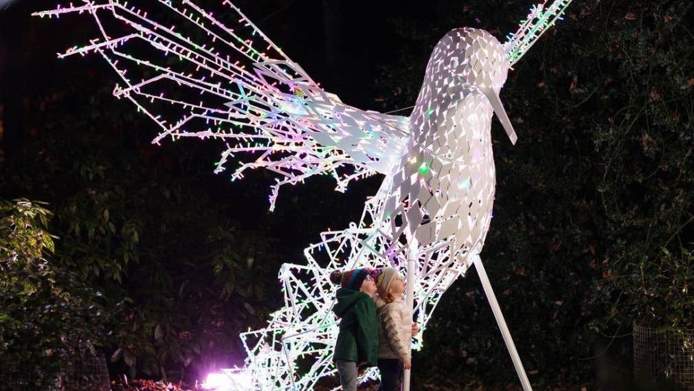 Humming Bird image with children