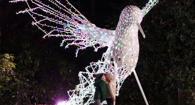 Humming Bird image with children