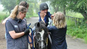 Festina Lente Equestrian Centre