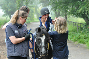 Festina Lente Equestrian Centre, Wicklow