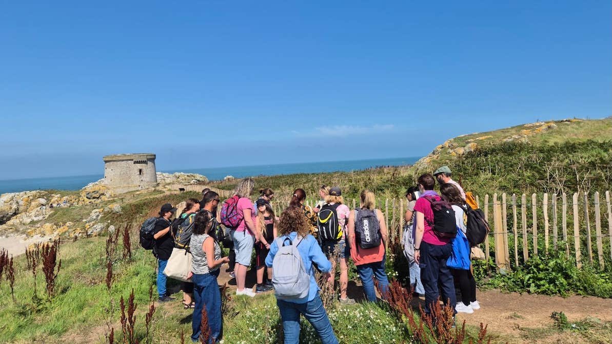 Foraging Tour on Ireland's Eye, Howth Co. Dublin