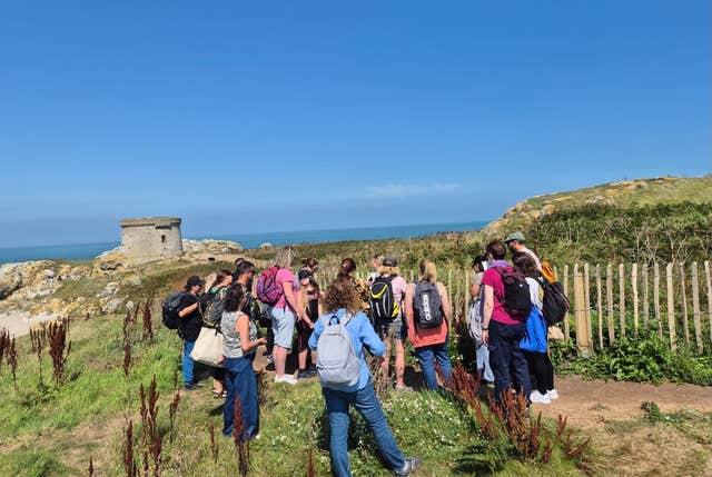 Ireland's Eye Foraging & Beach Picnic