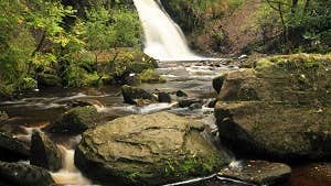 Silver River Nature Loop Walk