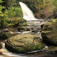 Silver River Nature Loop Walk