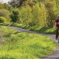 A family of five cycling along the Royal Canal Greenway path